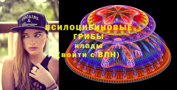 эйфоретик Алексин