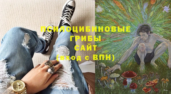 эйфоретик Алексин