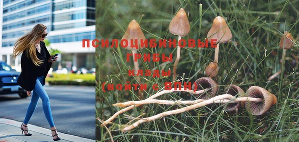 эйфоретик Алексин