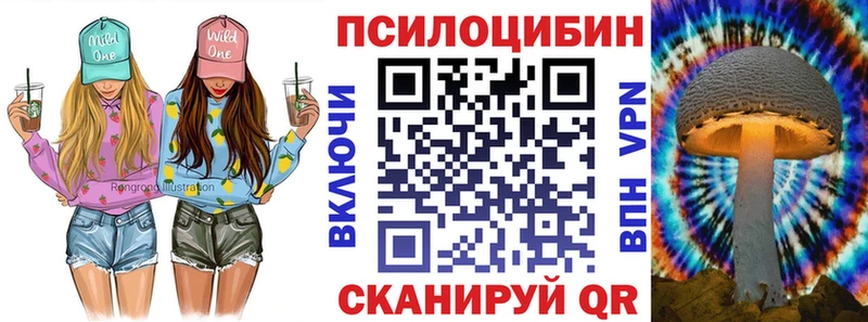 Псилоцибиновые грибы Psilocybine cubensis  что такое   Джанкой 